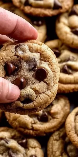 Freshly baked mini chocolate chip cookies on a cooling rack.